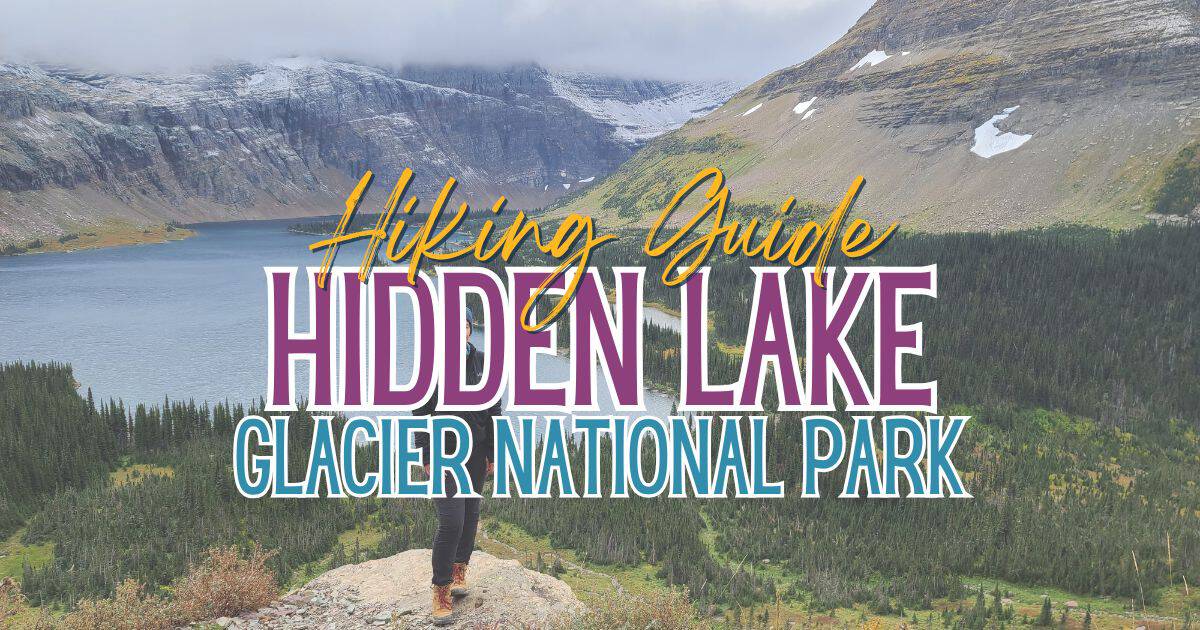 Hike Hidden Lake Overlook: Wildflowers & Wildlife in Glacier